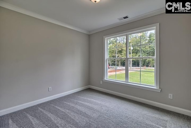 carpeted spare room with ornamental molding