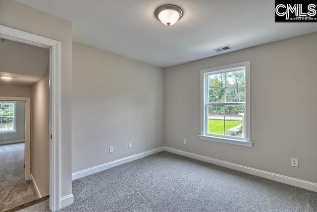 spare room featuring plenty of natural light and carpet