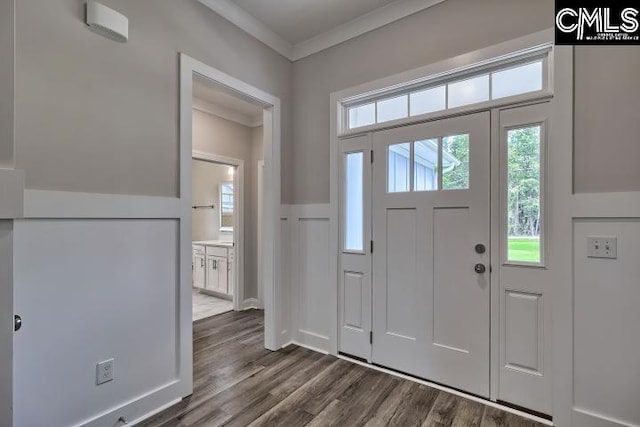 foyer with ornamental molding and dark wood-type flooring