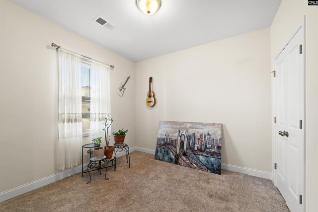 miscellaneous room with carpet floors