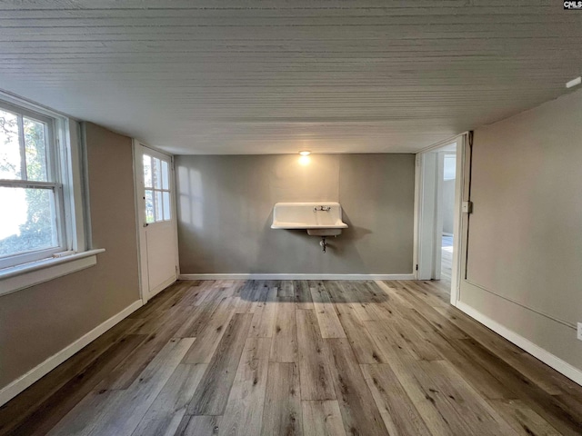 empty room featuring a wealth of natural light and light hardwood / wood-style flooring