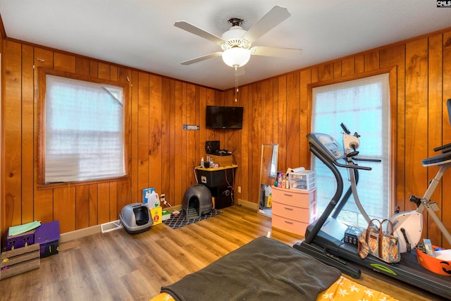 exercise area featuring a wealth of natural light, wood walls, hardwood / wood-style flooring, and ceiling fan