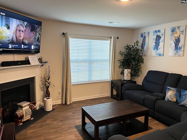 living room featuring wood-type flooring