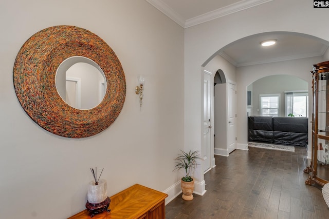 hallway with dark wood-type flooring and ornamental molding