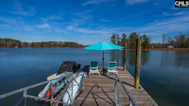 dock area featuring a water view