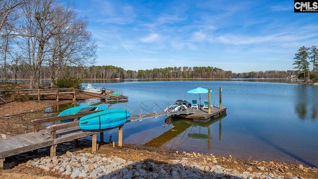 dock area featuring a water view