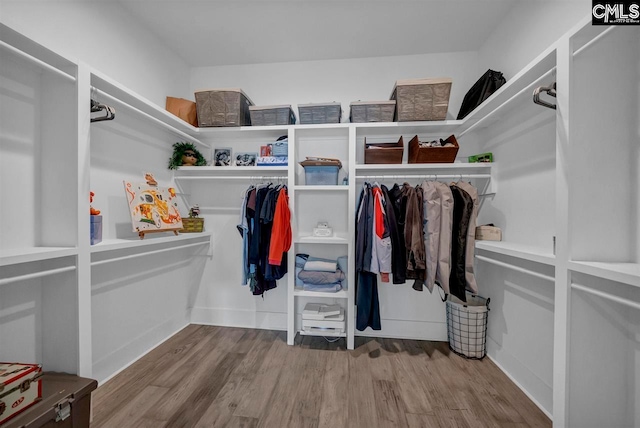 walk in closet featuring hardwood / wood-style floors