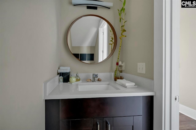 bathroom featuring wood-type flooring and vanity