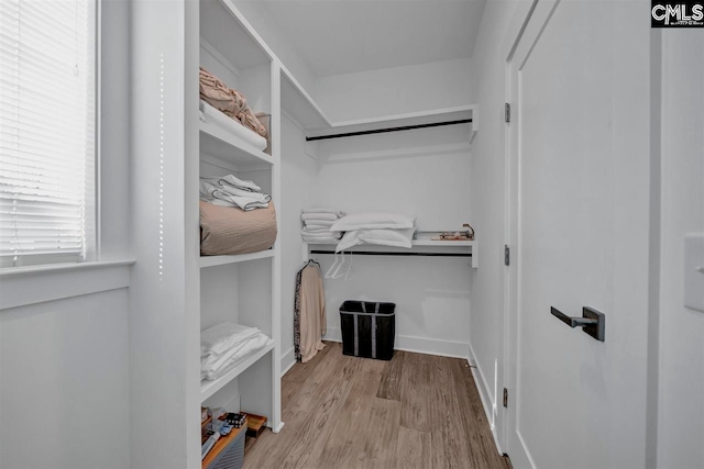 walk in closet featuring light hardwood / wood-style floors