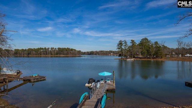 view of dock with a water view