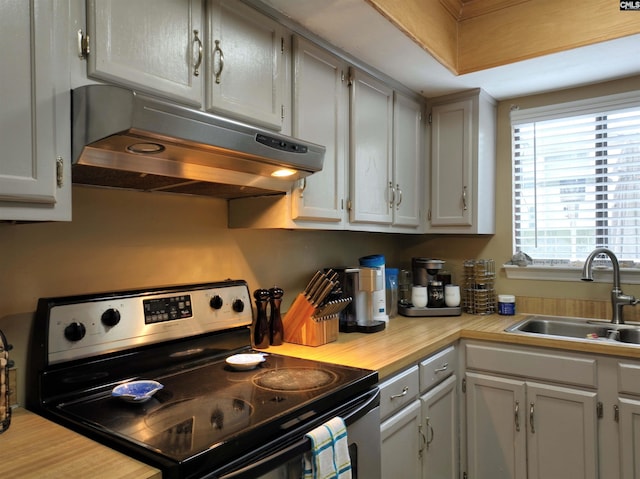 kitchen featuring electric range and sink