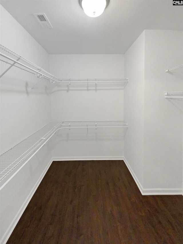 spacious closet featuring dark hardwood / wood-style flooring