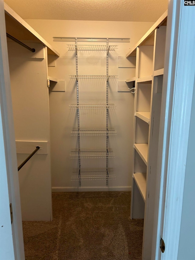 spacious closet featuring dark carpet