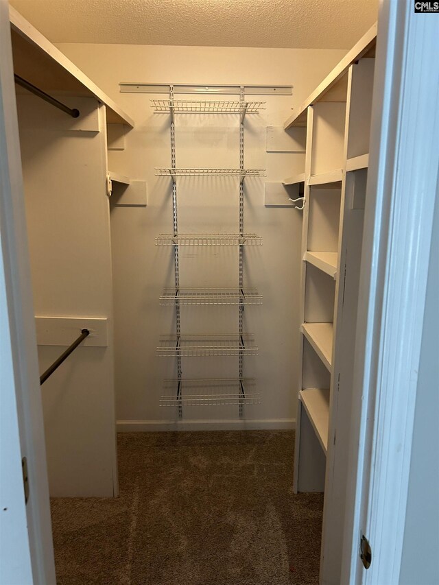 1110 Eleazer Rd, Irmo, SC 29063 - walk in closet with dark carpet