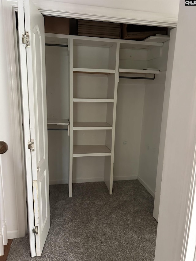 1110 Eleazer Rd, Irmo, SC 29063 - view of closet