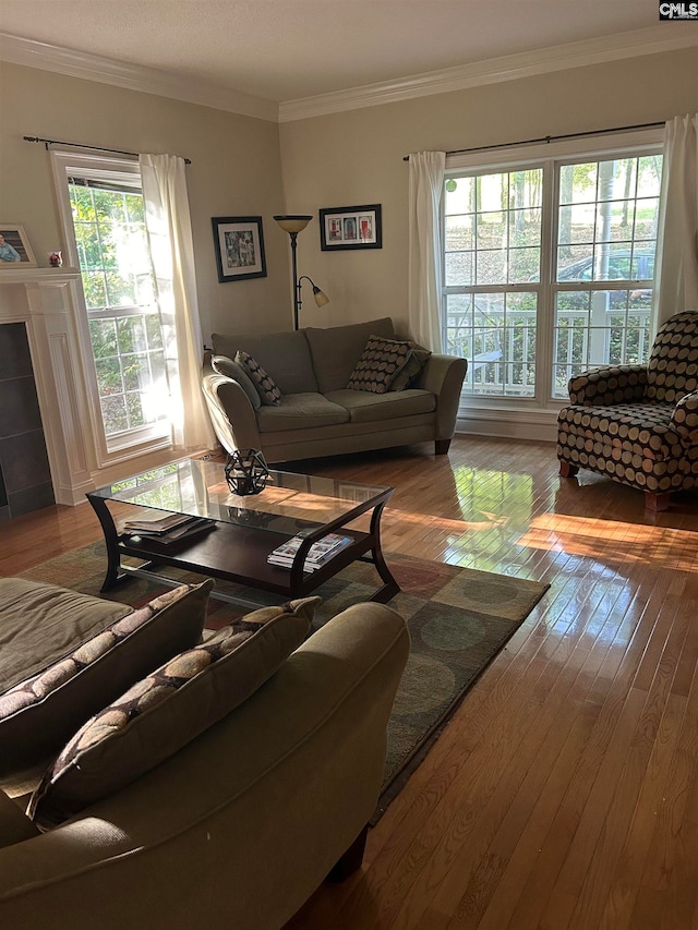 living room featuring a fireplace, hardwood / wood-style floors, and ornamental molding