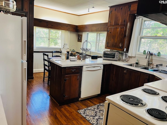 kitchen featuring sink, ornamental molding, dark wood-type flooring, dark brown cabinets, and white appliances