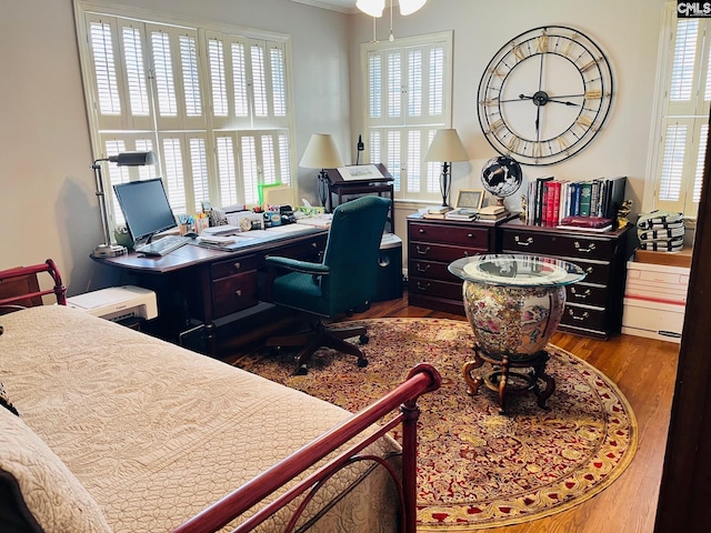 office featuring ceiling fan, wood-type flooring, and a healthy amount of sunlight