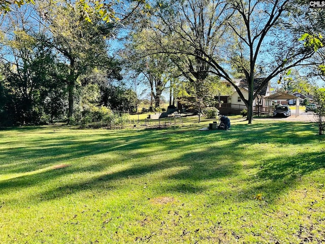 view of yard