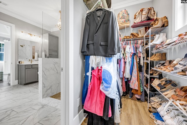 spacious closet with sink