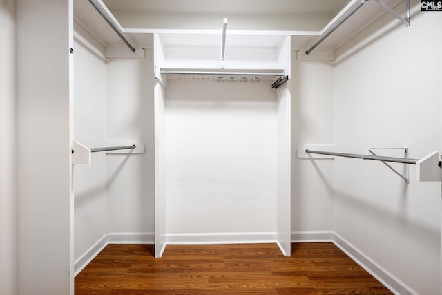 spacious closet featuring hardwood / wood-style flooring