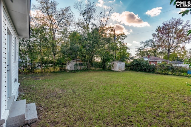 view of yard featuring a storage unit