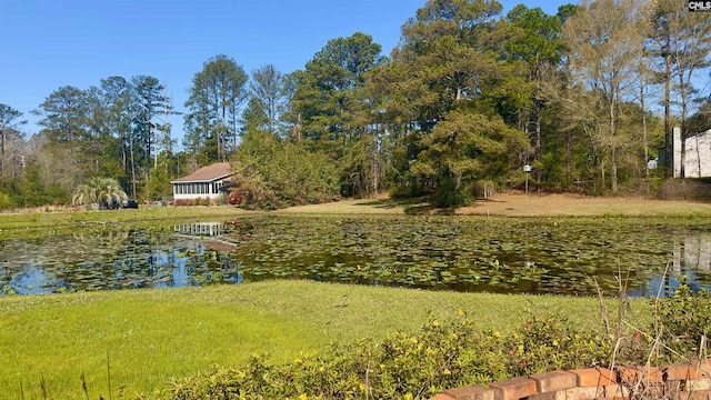 view of yard with a water view