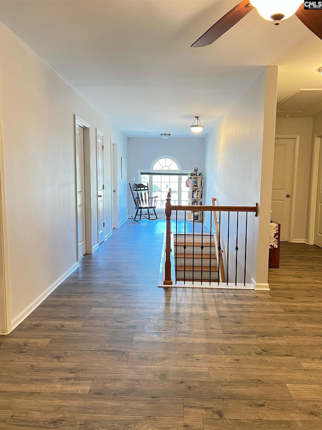 hall featuring dark wood-type flooring