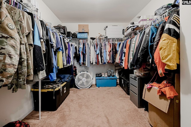 spacious closet with light colored carpet