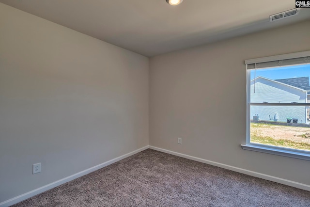 unfurnished room featuring carpet floors and a wealth of natural light