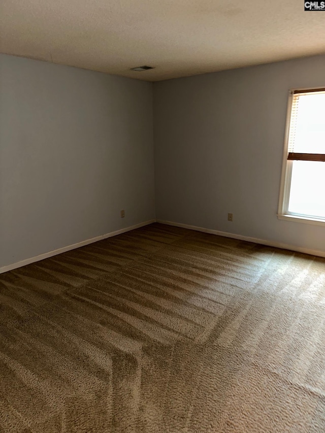 empty room featuring carpet