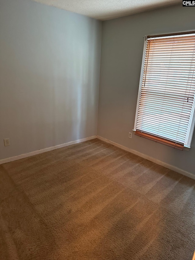 spare room featuring carpet floors and a textured ceiling