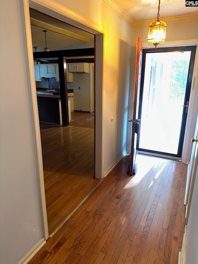 interior space featuring wood-type flooring and crown molding