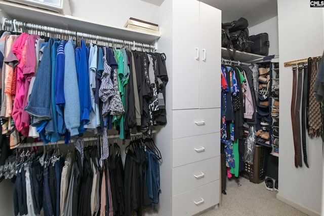 walk in closet featuring carpet floors