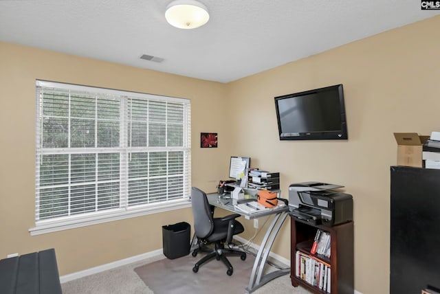 carpeted office space with a textured ceiling