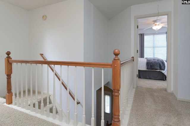 staircase featuring ceiling fan and carpet