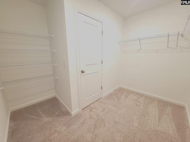 walk in closet featuring light carpet