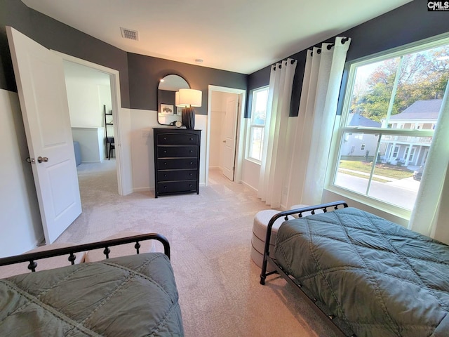 carpeted bedroom with multiple windows