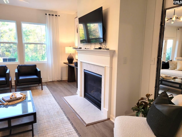 living room with light hardwood / wood-style flooring