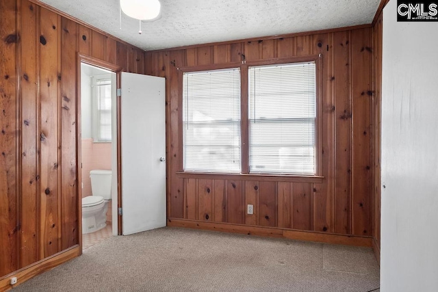 interior space featuring a textured ceiling, a healthy amount of sunlight, light carpet, and wood walls