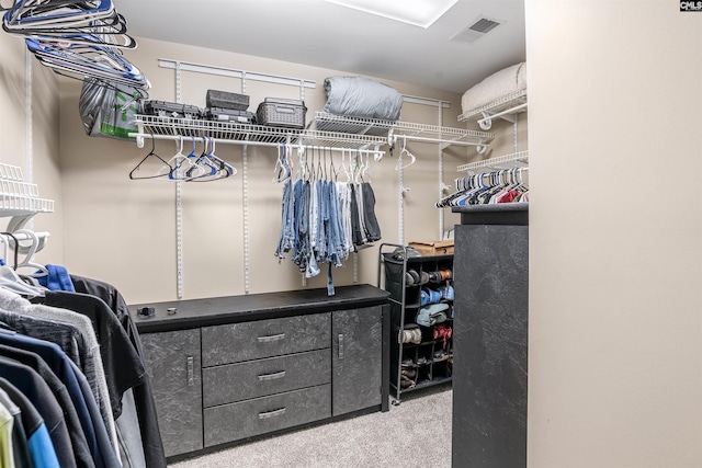 spacious closet with light colored carpet