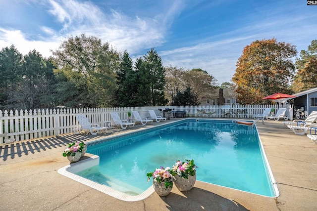 view of swimming pool featuring a patio area