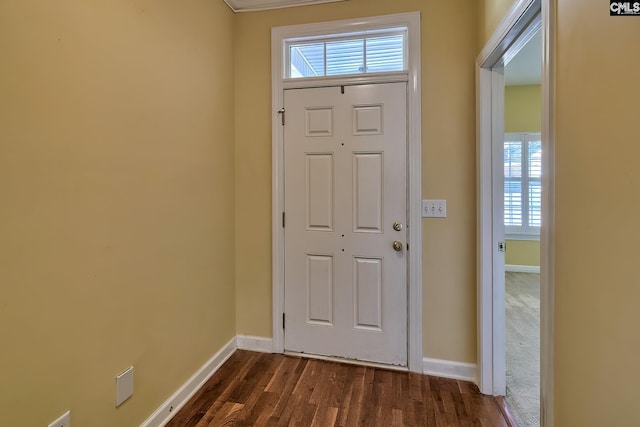 foyer entrance with dark hardwood / wood-style floors