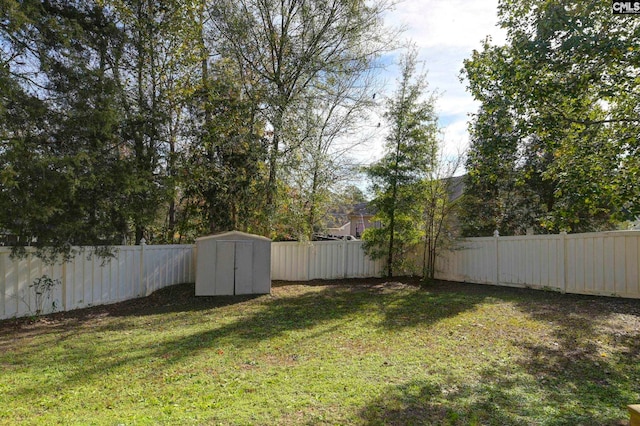 view of yard featuring a storage shed