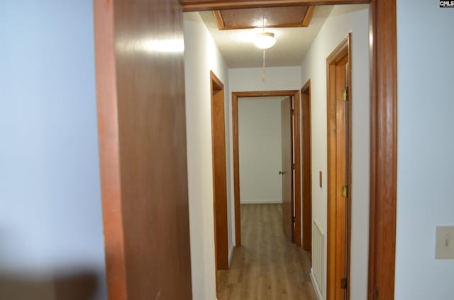 corridor featuring a textured ceiling and light hardwood / wood-style flooring