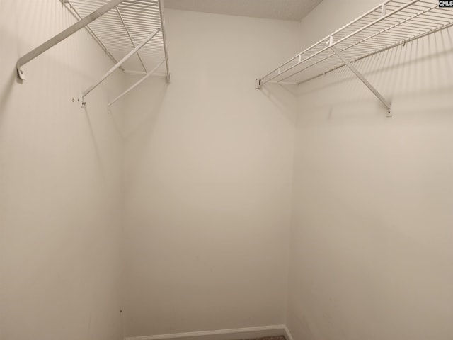 view of walk in closet