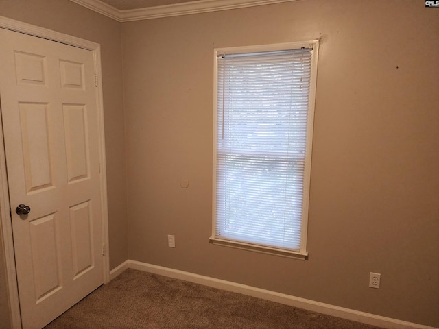 unfurnished room featuring crown molding and carpet floors