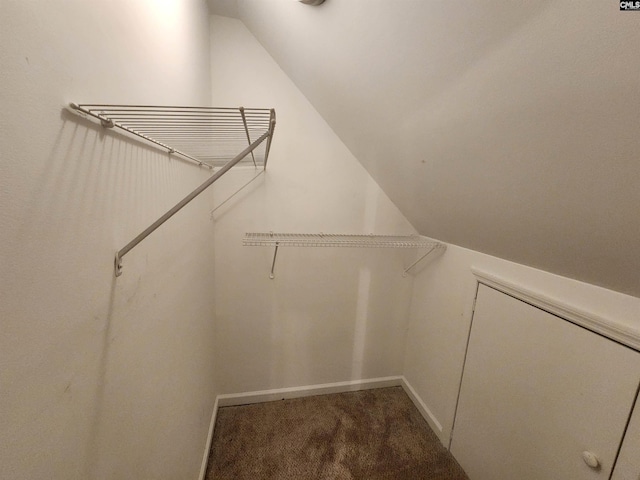 walk in closet featuring carpet and lofted ceiling