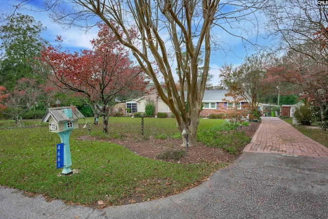 view of front of house featuring a front lawn