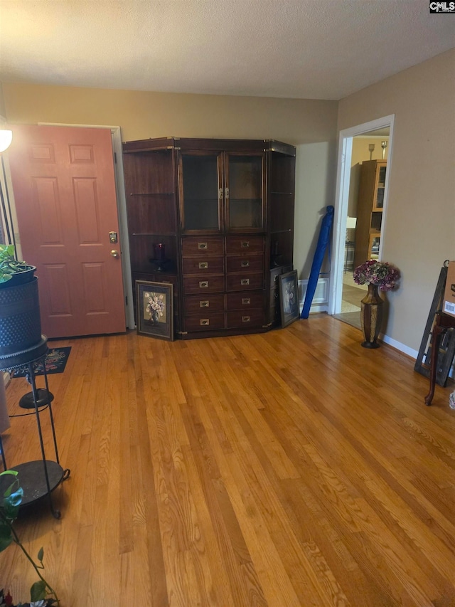 interior space featuring light hardwood / wood-style floors and a textured ceiling